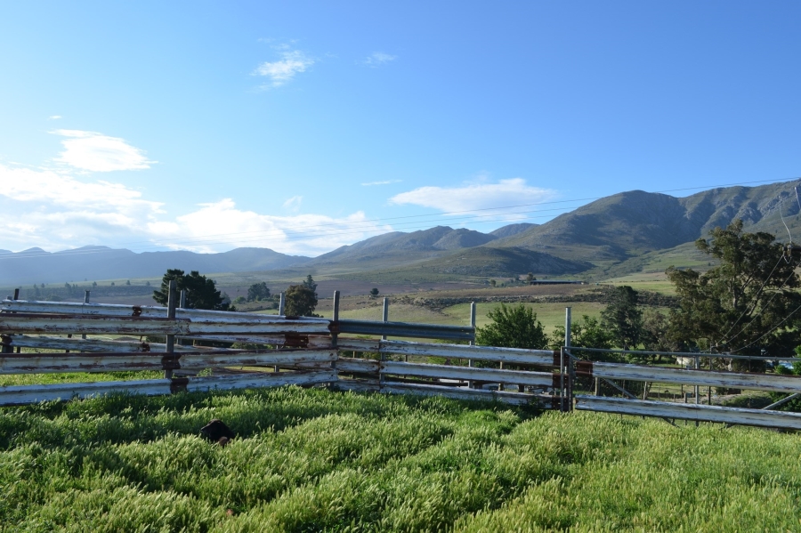 0 Bedroom Property for Sale in Uniondale Western Cape